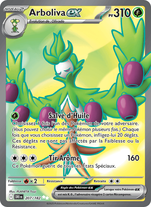 Arboliva-ex · RVD 207/182 · FR