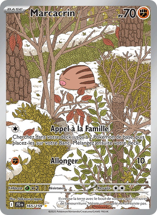 Carte Pokémon Marcacrin (Swinub) JTG 165/159 – version française