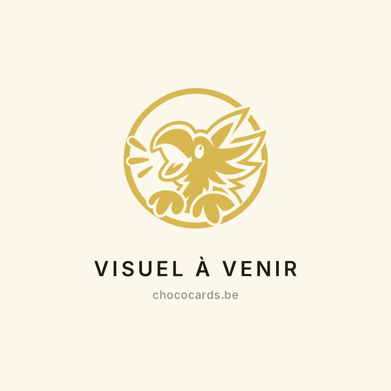 Visuel à venir – Zekrom de N · MEP 031 · FR